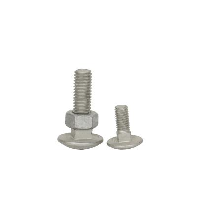 Hot dip Galvanized 1/4-20*19 Carriage Bolts Half-round Head Square Neck Coach Bolt 